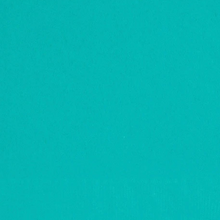 Load image into Gallery viewer, TEAL